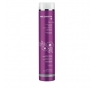 MEDAVITA SHAMPOO COLORANTE RAVVIVANTE SILVER 250 ML