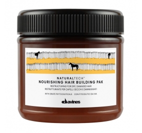 DAVINES NATURALTECH NOURISHING HAIR BUILDING PAK 250 ML 