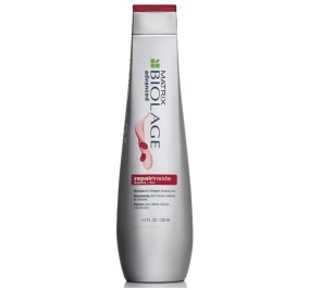 Matrix Biolage Repairinside Shampoo 250 ml Matrix 